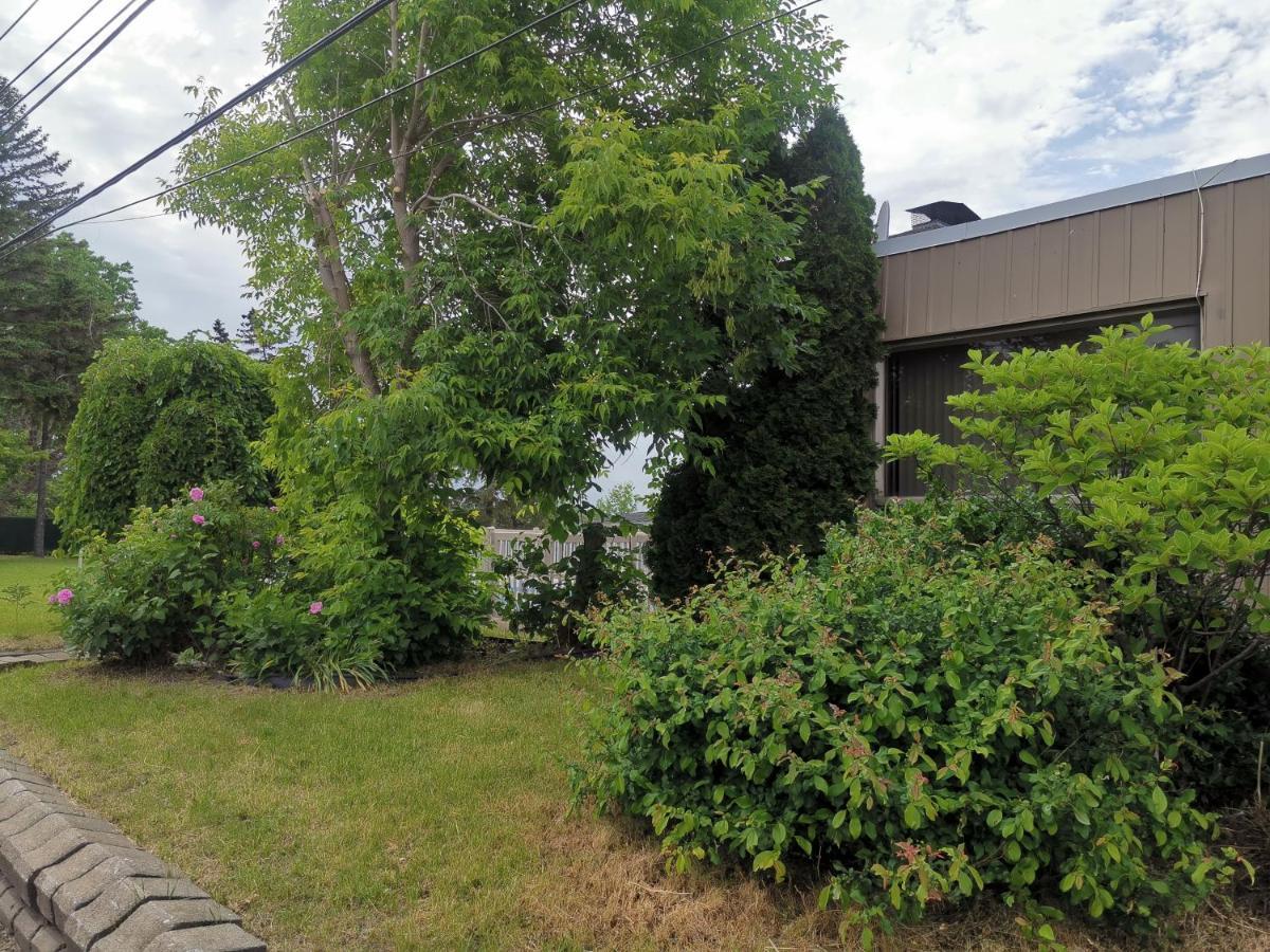 Motel Sainte Catherine Exterior photo