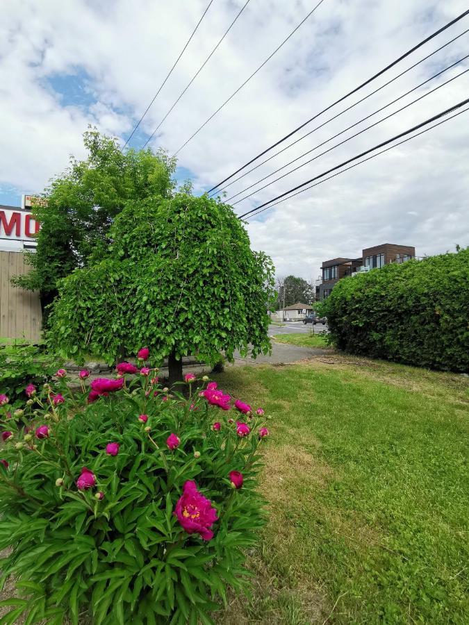 Motel Sainte Catherine Exterior photo